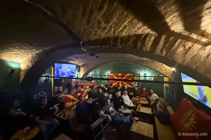 Watching Handball Together in Slovenia, photo 3